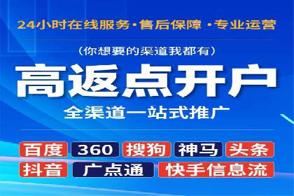SEM主管实战技巧：案例分享与解读
